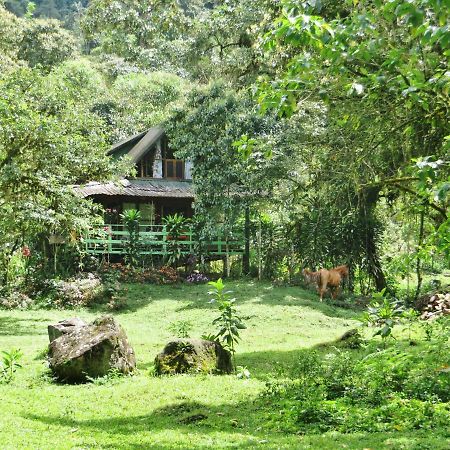 Mindo Eco Chalet Con Rio Y Cascada Dış mekan fotoğraf