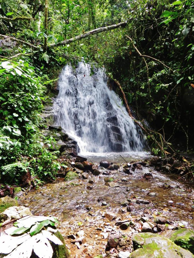Mindo Eco Chalet Con Rio Y Cascada Dış mekan fotoğraf