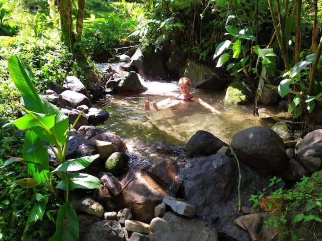 Mindo Eco Chalet Con Rio Y Cascada Dış mekan fotoğraf