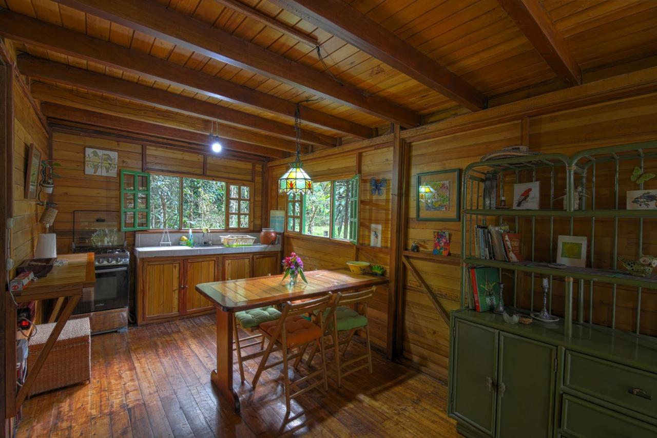 Mindo Eco Chalet Con Rio Y Cascada Dış mekan fotoğraf