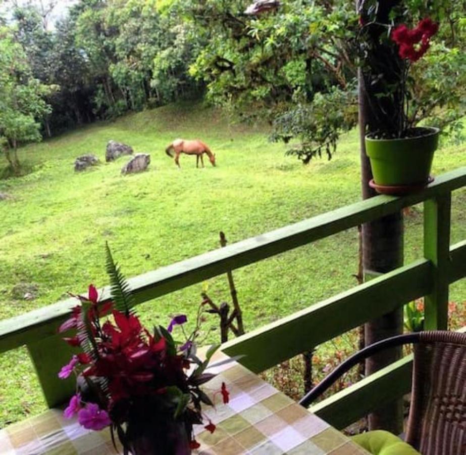Mindo Eco Chalet Con Rio Y Cascada Dış mekan fotoğraf