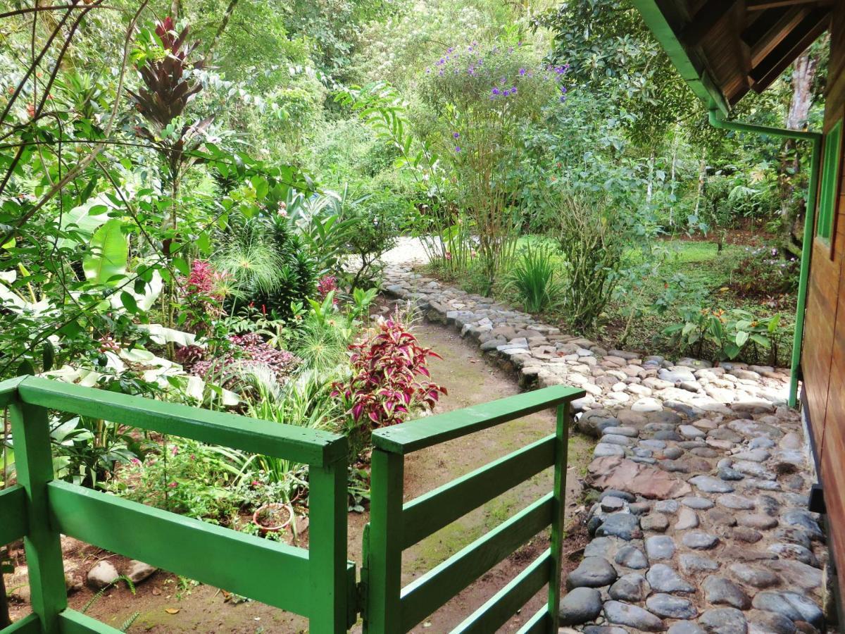 Mindo Eco Chalet Con Rio Y Cascada Dış mekan fotoğraf