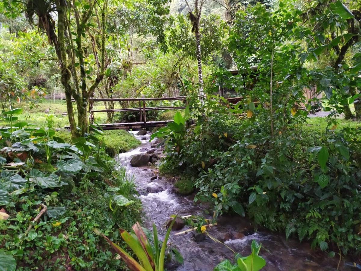 Mindo Eco Chalet Con Rio Y Cascada Dış mekan fotoğraf