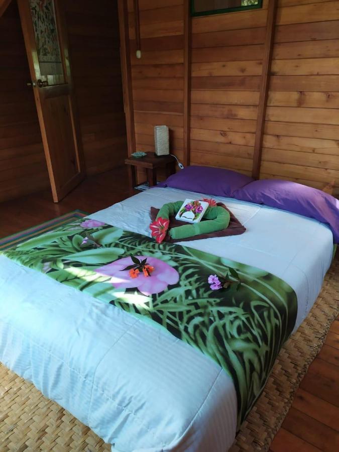 Mindo Eco Chalet Con Rio Y Cascada Dış mekan fotoğraf