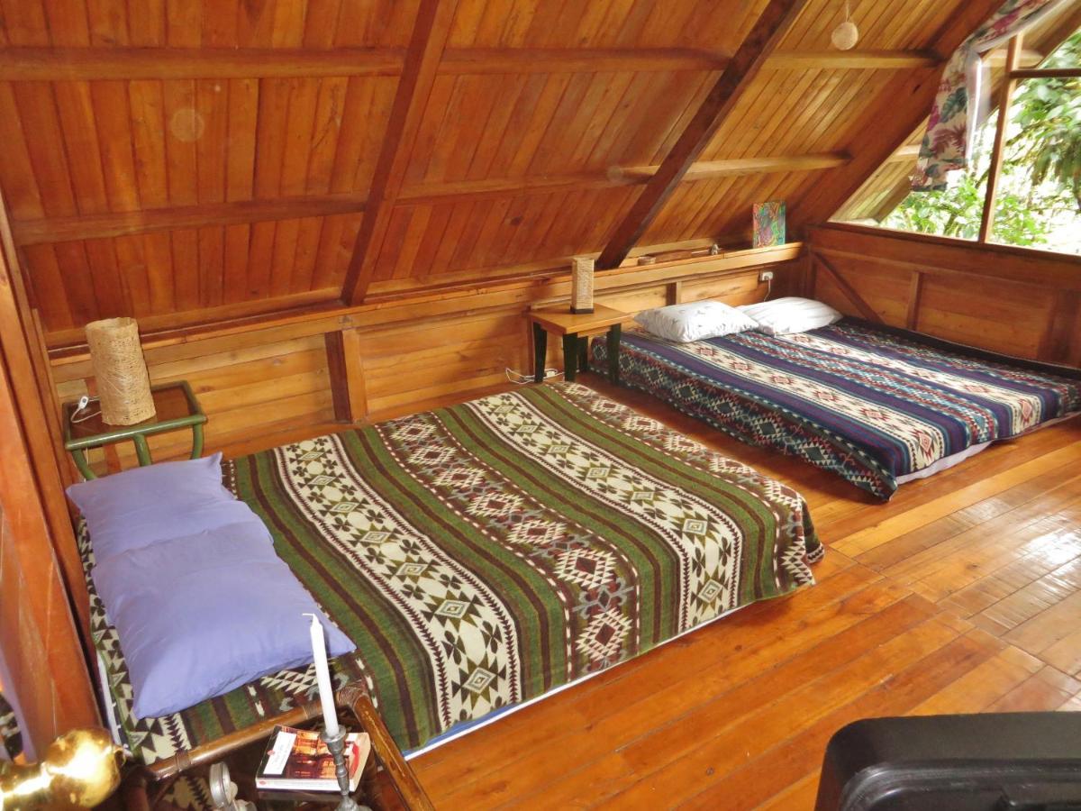 Mindo Eco Chalet Con Rio Y Cascada Dış mekan fotoğraf