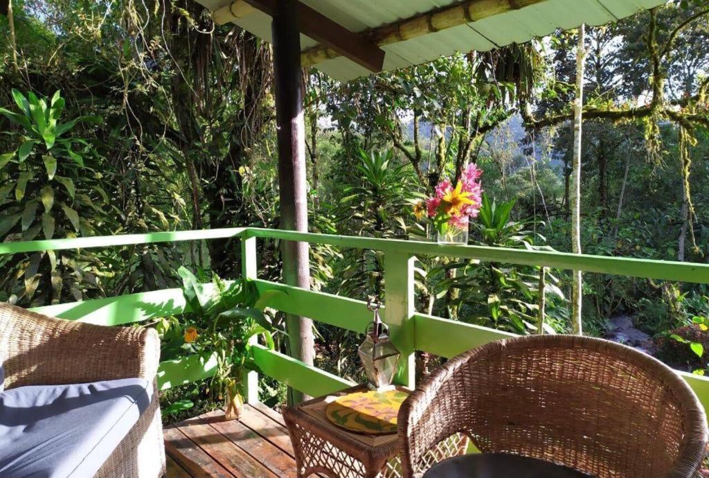 Mindo Eco Chalet Con Rio Y Cascada Dış mekan fotoğraf