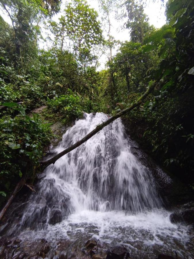 Mindo Eco Chalet Con Rio Y Cascada Dış mekan fotoğraf