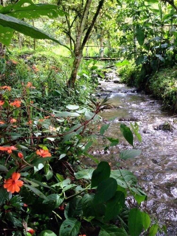 Mindo Eco Chalet Con Rio Y Cascada Dış mekan fotoğraf