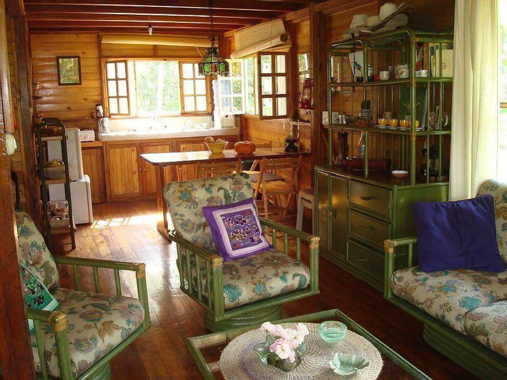 Mindo Eco Chalet Con Rio Y Cascada Dış mekan fotoğraf