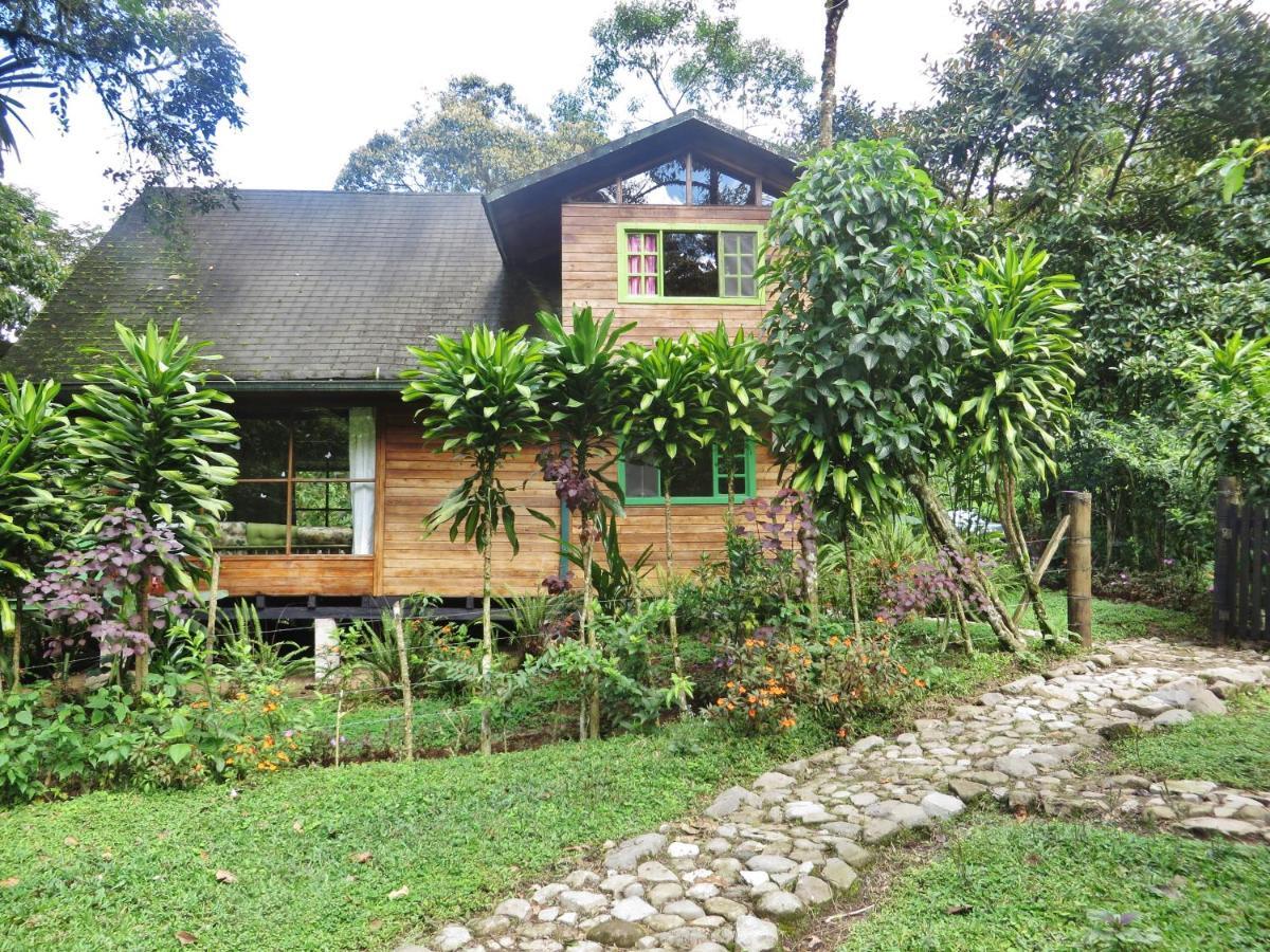 Mindo Eco Chalet Con Rio Y Cascada Dış mekan fotoğraf