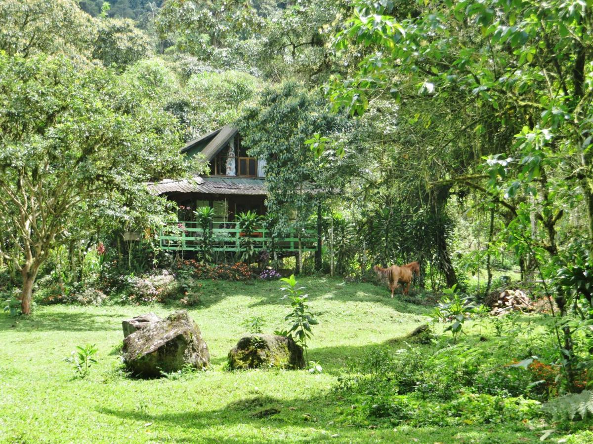 Mindo Eco Chalet Con Rio Y Cascada Dış mekan fotoğraf