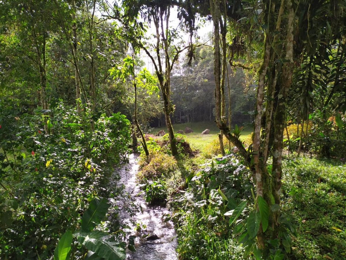 Mindo Eco Chalet Con Rio Y Cascada Dış mekan fotoğraf